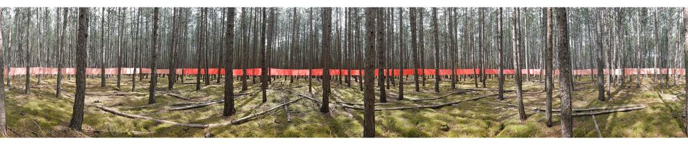 MARKUS GUSCHELBAUER: „Peripheria“,
